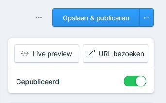 Na-publicatie.jpg